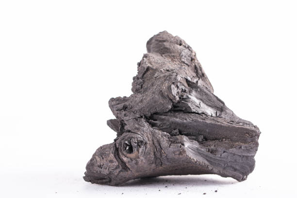 istock Traditional charcoal wood 836524326