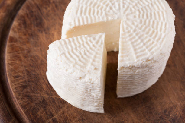 istock Cheese wheel, homemade indian paneer 836526656
