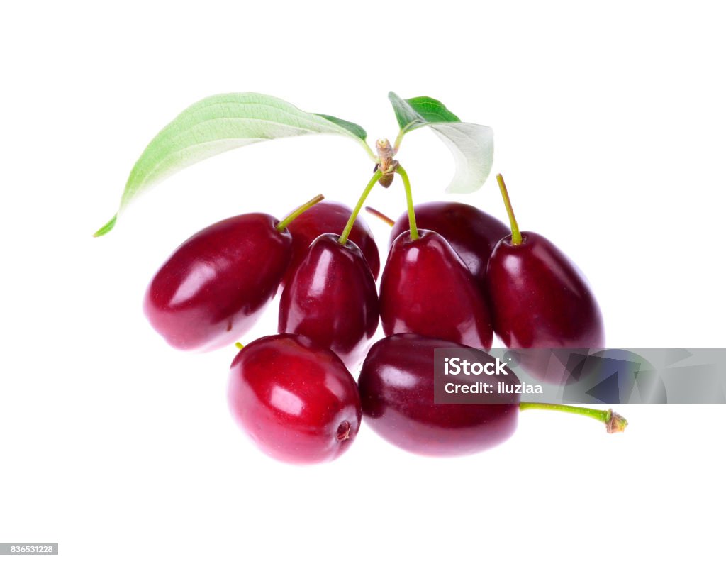 Fresh cornel berries  on an isolated Fresh cornel berries  on an isolated white background Bulgaria Stock Photo