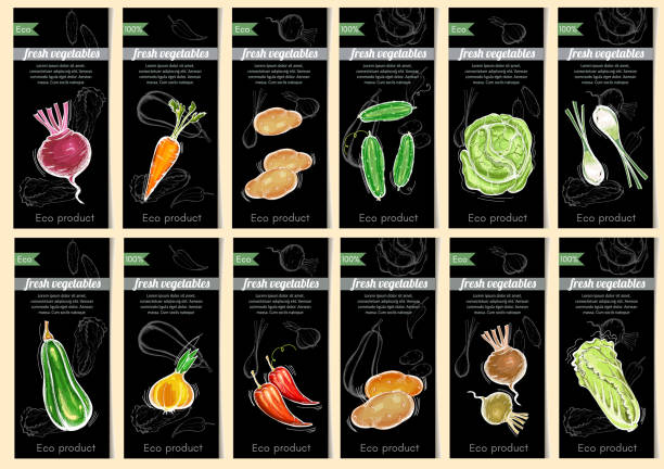 Vegetable seeds packets template. Natural vegetables seeds in packets hand drawn vector. Eco vintage foods. Sketch vegetable banners set vector art illustration