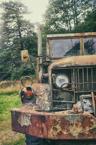 istock Old army truck in the woods 836532156