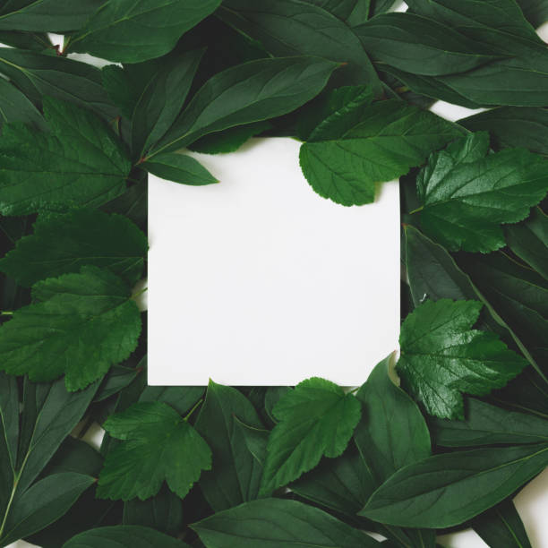 istock Creative layout made of green leaves with empty blank for note  on black background. Top view. Nature concept. 836535590