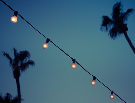 String of Vintage Lightbulbs in Tropical Garden