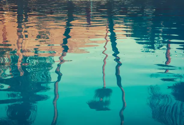 Photo of Background image of palm trees reflected in swimming pool