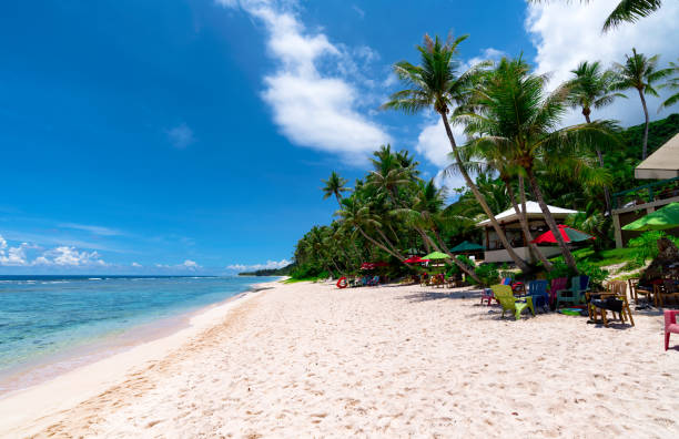istock Coco Palm Garden Beach in Guam 836539740
