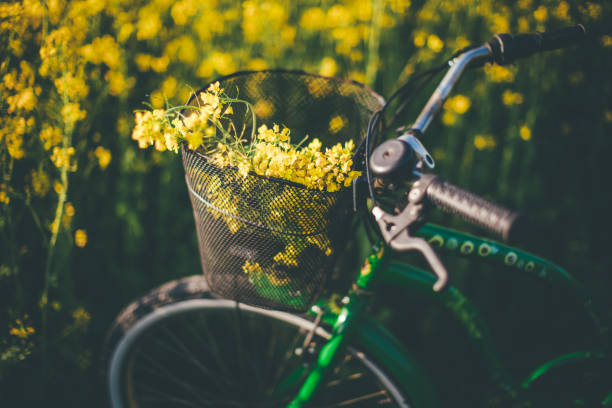 istock Bike at the summer rapeseed meadow 836554612