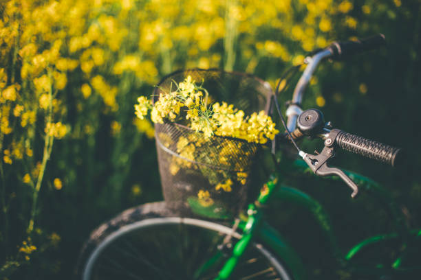 istock Bike at the summer rapeseed meadow 836554966