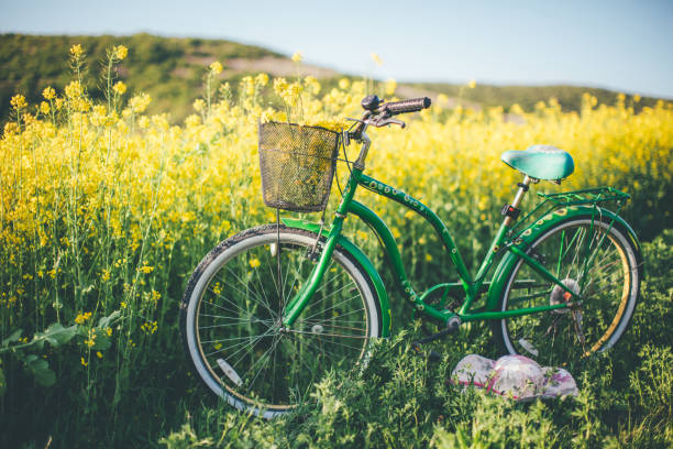 istock Bike at the summer rapeseed meadow 836555156