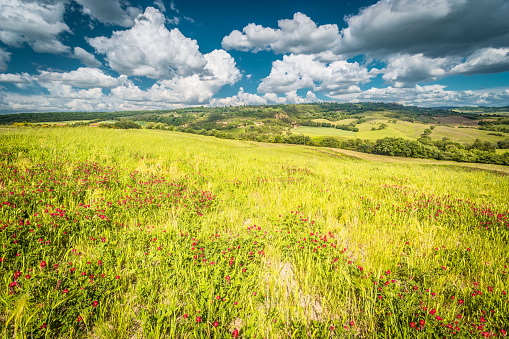 Beautiful Tuscany landscape. Italy, Europe