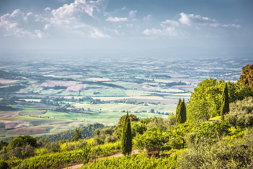 Rolling Tuscany Landscape. Val D'orcia, Tuscany, Italy, Europe