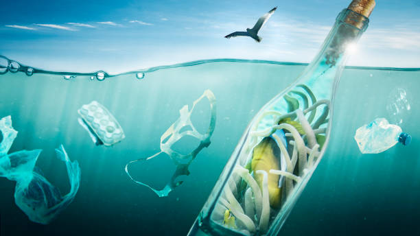 Fish travels in a bottle over the sea stock photo