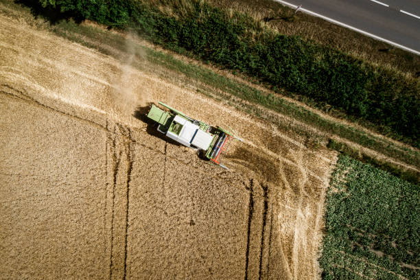 istock Green combine harvester harvesting wheat on a field in Austria 836560154