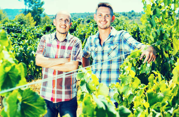 istock Two  gardeners standing together in grapes tree yard 836562408