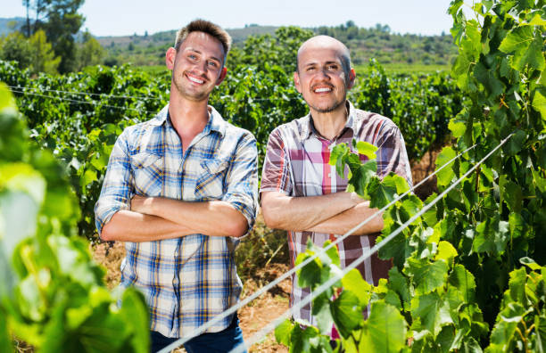 istock Two  gardeners standing together in grapes tree yard 836562422