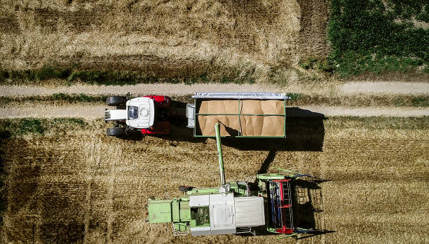 istock Tractor with trailer and grain and harvester 836562512
