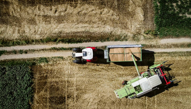 istock Tractor with trailer and grain and harvester 836562516