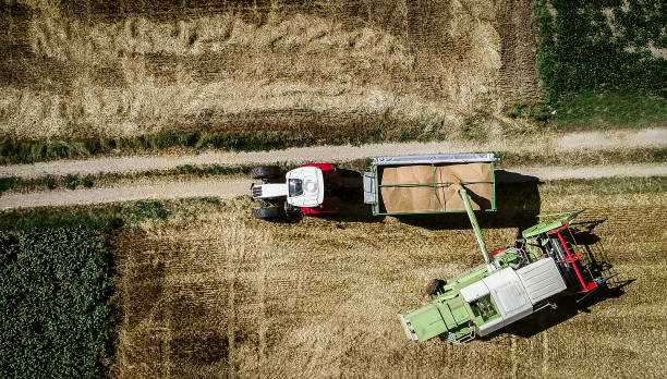 istock Tractor with trailer and grain and harvester 836562522