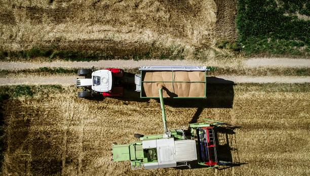istock Tractor with trailer and grain and harvester 836562572