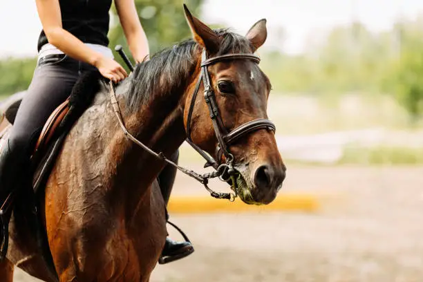 Photo of Picture of young pretty girl riding horse