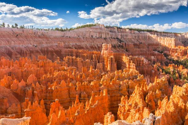 istock Scenery in Bryce Canyon National Park, under warm sunrise light 836567338
