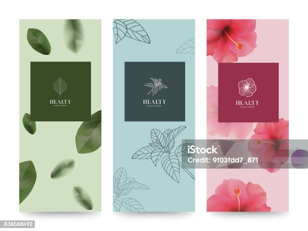 Branding Packageing Blume Natur Hintergrund Banner Gutschein Frühjahr Sommer Tropisch Vektorillustration Stock Vektor Art und mehr Bilder von Wellness und Schönheitsbehandlung