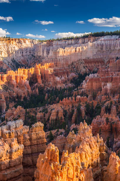 istock Scenery in Bryce Canyon National Park, under warm sunrise light 836569412