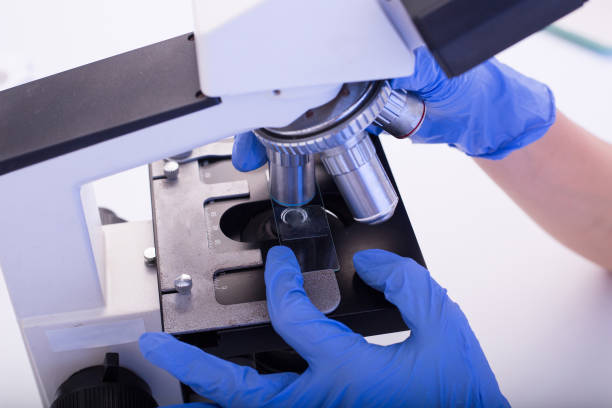 istock Laboratory microscope research. Scientist people study and anlaysis in lab room. 836573878