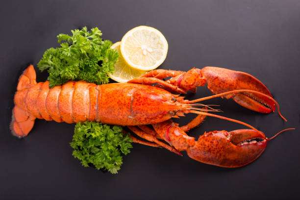 istock Canadian lobster food 836579706
