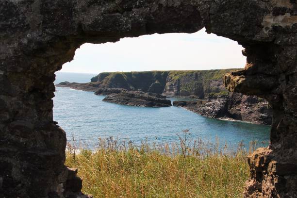istock Crawton, Scotland. Fowisheugh Seabird Colony 836583904
