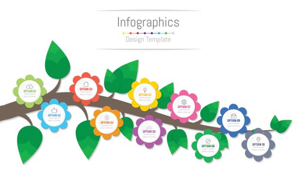 infographic 10 옵션, 부품, 단계, 일정 또는 프로세스, 꽃 및 분기 개념 비즈니스 데이터에 대 한 요소를 디자인 합니다. 벡터 일러스트입니다. - 10 11세 stock illustrations