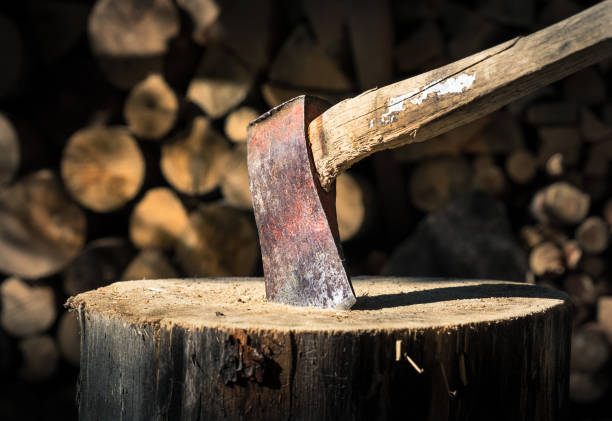 vecchia ascia attaccata al tronco d'albero con un bel sfondo di legno. - wood axe foto e immagini stock