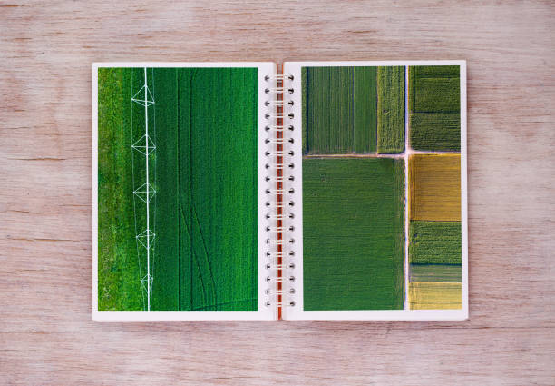 istock Agricultural scenes on pages of notebook 836601562