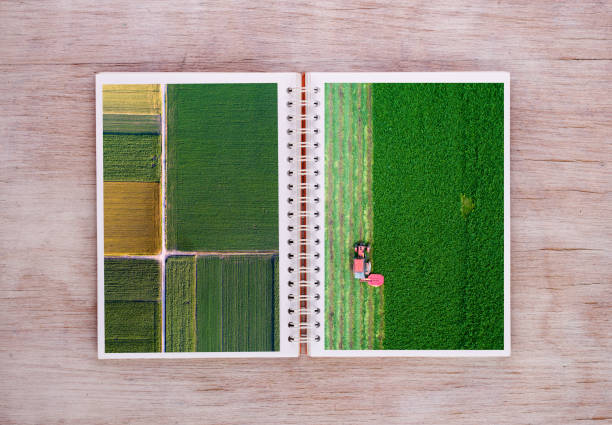 Agricultural scenes on pages of notebook