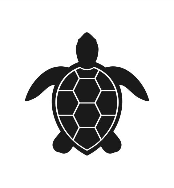 Sea turtle icon Sea turtle icon. Vector illustration sea turtle stock illustrations