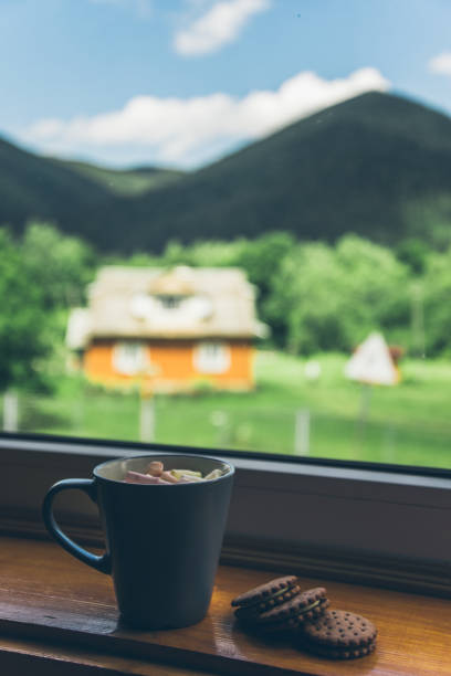 istock cup of coffee with cookies on windowsill 836603852