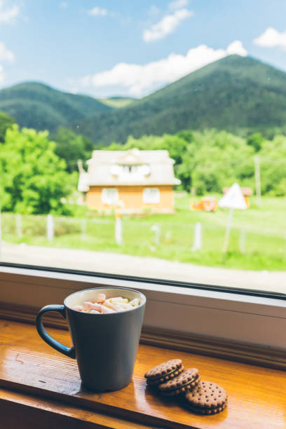 istock cup of coffee with cookies on windowsill 836605810