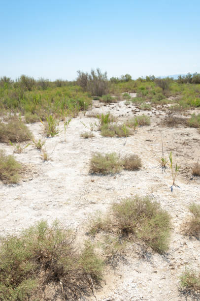 istock steppe summer. Turgai save. Lake in the desert 836609864