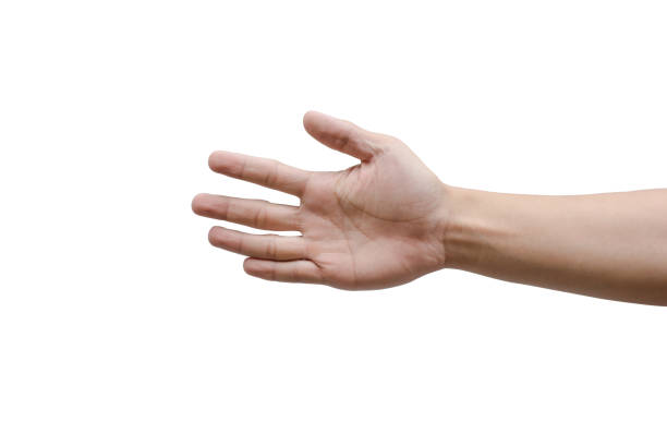 istock Hand holding out five fingers isolated on a white background clipping path 836612236