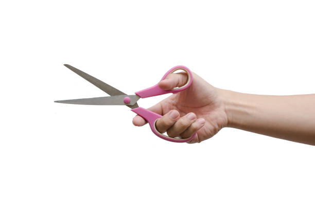 man hand holding scissors isolated on white background with clipping path. stock photo