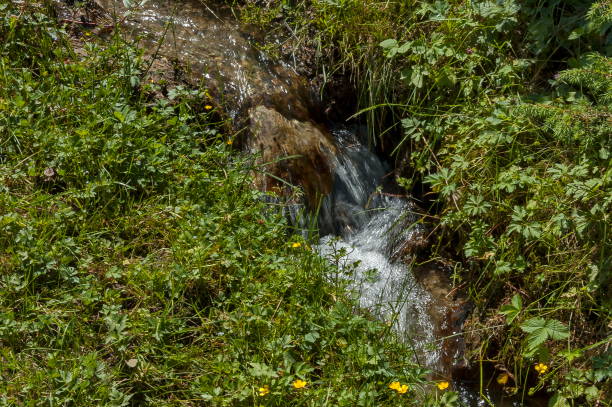 istock View of motion blurred water stream with waterfall through glade in  Rila mountain 836622262