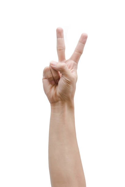 istock man hand showing two count isolated on white with clipping path. 836622664