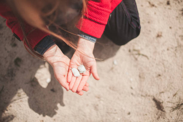 istock Little girl holding shells on her hand on the beach 836626964