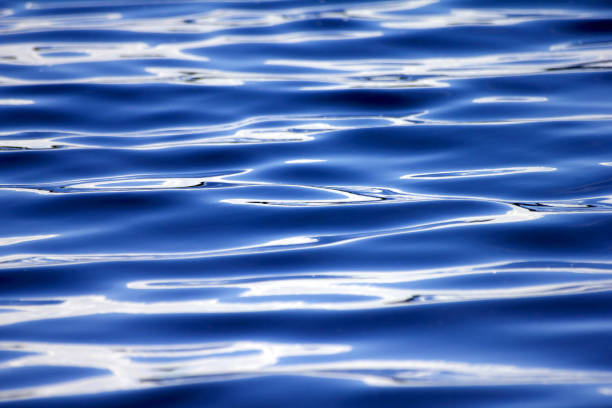 istock Dark blue waves on the water surface. Abstract background. 836627160