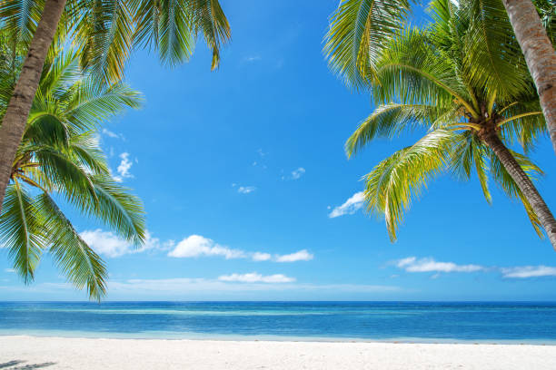 istock Tropical paradise beach and sea 836627228