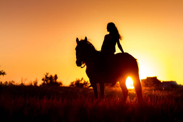 Black silhouette of female cowboy riding horse at sunset