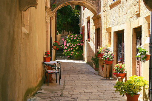 Idyllic Alley corner back yard hydrangeas, flower pots garden, beautiful Dubrovnik medieval old town cityscape, pastel colored facades city life, urban panorama – Dalmatia, Croatia