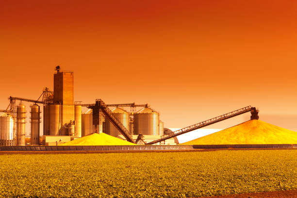 Corn Processing Plant and Silos During Harvest at Sunset A corn processing plant in the fall during harvest time at sunset. Corn is harvested, collected and processed. Stored at the silos and storage facility ready for shipping. ethanol photos stock pictures, royalty-free photos & images