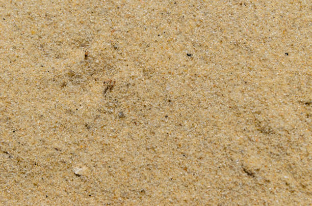 istock Background of the yellow sand 836641496