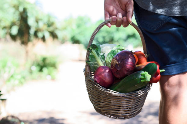 istock young man with a basket full of vegetables 836642690