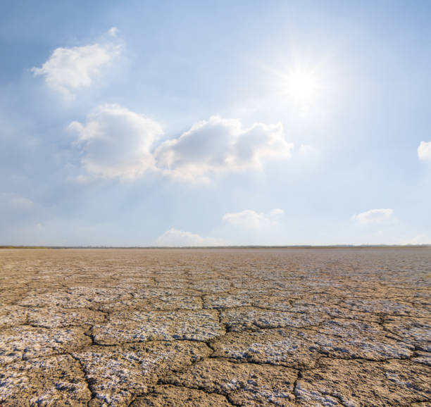 istock dry saline land at the hot summer day 836649724